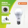 BioGreen Energiesparende LED Pflanzenlampe "LUM 505" mit Produktbild-Vorschau 5