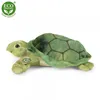 Peluche Tartaruga Acquatica 20 Cm Ecologica Anteprima dell’immagine prodotto 8