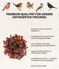 Dehner Natura Premium Wildvogelfutter, Rosinen Delikatesse, Produktbild-Vorschau 2