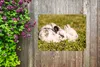 MuchoWow® Produktbild-Vorschau 5