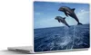 MuchoWow® Laptop Aufkleber Sticker Cover Delfin - Meer - Produktbild-Vorschau 1