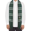 A person wearing a white shirt and a green and gray striped scarf with a Slytherin crest. Náhled obrázku produktu