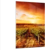 Bilder auf glas - Einteilig - Weinberg Aussicht Landschaft Produktbild-Vorschau 1