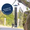 25 kg Lyra Pet® Sonnenblumenkerne schwarz Neue Ernte Produktbild-Vorschau 3