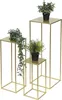 Three gold metal plant stands of varying heights, each holding a potted plant. Náhled obrázku produktu