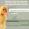 Eggersmann Körnerpick 25 kg Küken Starter Pellets GVO frei Produktbild-Vorschau 6