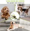 A collage of three dogs with a product box and treats in the center. Podgląd zdjęcia produktu