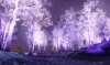 World of Warcraft - Wrath of the Lich King Produktbild-Vorschau 10