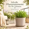 Pflanztopfuntersetzer Mira Taupe Ø 29cm - Frostsicher & Produktbild-Vorschau 4