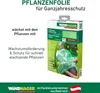 Windhager Frühbeetfolie 1,4 x 7,2 m transparent-grün Produktbild-Vorschau 6