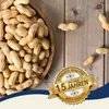 10 kg Lyra Pet® Erdnusskerne in Schoten Produktbild-Vorschau 4