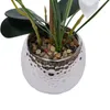 Umělé orchideje v květináči Phalaenopsis White Flower Náhled obrázku produktu 5