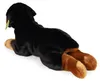 Peluche Rottweiler 44 Cm Ecologique Voir les images du produit 6
