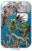 Legno per acquario Red Moor decorazione naturale, rami Anteprima dell’immagine prodotto 12