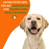 Leinöl Hunde, Pferde und Katzen 1 L - Barföl Nativ mit Produktbild-Vorschau 3