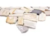 Natursteinmosaik Bruch/Ciot mix wood stone fossil Produktbild-Vorschau 2