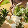 Gans Blumentopf mit einer Blumenwiese Produktbild-Vorschau 4
