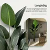 IvoQ Strelitzia - Plante artificielle de 210 cm - Grande Voir les images du produit 6
