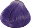 La Richè Directions Violet 89 ml Produktbild-Vorschau 12