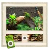 Repiterra® Terrarium Seitenbelüftung Holzterrarium OSB Holz Produktbild-Vorschau 1