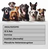 123... Hund dabei! - Kaurollen XXL 50er Tray Produktbild-Vorschau 6