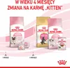 Royal Canin Mother & Babycat, Dorosły, Każda rasa, Drób, 4 Podgląd zdjęcia produktu 13