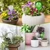 2 X kanvy na zalievanie rastlín Dávkovač na kvetináče Náhľad obrázku produktu 10