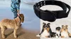 Collier de chien large, solide et réglable en ruban avec Voir les images du produit 7