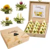 Creano Teelini Teeblumen im Tassenformat, Geschenkset in Produktbild-Vorschau 1