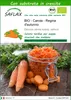 SAFLAX  -- Carota - Regina d'autunno - 1000 semi - Con Anteprima dell’immagine prodotto 1