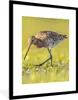 MuchoWow® Gerahmtes Poster Vögel - Gras - Landschaft - Produktbild-Vorschau 1