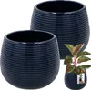 Two dark blue ceramic planters are shown, with one smaller planter in the foreground containing a plant. A tag is attached to the smaller planter. Náhled obrázku produktu