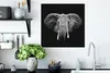 MuchoWow® Poster Elefant - Tiere - Schwarz - Weiß 50x50 cm Produktbild-Vorschau 3