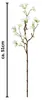 GASPER Scheinquittenzweig Weiß 51cm - Kunstblumen Produktbild-Vorschau 4