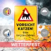 Vorsicht Katzen! Aluverbund Schild I 20 x 30 cm I Achtung Produktbild-Vorschau 2