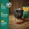 Agrarzone mini granulat paszowy dla świń 20 kg Podgląd zdjęcia produktu 4