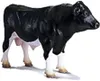 Schleich Holstein Bull 3+ Yearbeschädigt Produktbild-Vorschau 2