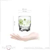 PLATINUX Trinkgläser mit Blumen Dekor Set 6 Teilig 250ml Produktbild-Vorschau 2