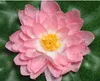 Kunstblumen Lotus 20cm mit Wassertropfen 1 Stück sortiert Produktbild-Vorschau 3