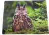 Onwomania Uhu Eule Vogel Kautz 9x7cm 3D Magnet Karte Produktbild-Vorschau 1