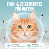FUTUM Spot on für Katzen 6x1,2ml Pipetten 4-7 Kg gegen Produktbild-Vorschau 3
