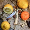 Opinel No. 07, roestvrij staal Productafbeelding-voorbeeld 11