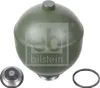 FEBI BILSTEIN Federkugel 26673 Hinten Links Hinten Rechts Produktbild-Vorschau 2