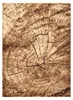 BCF Tapis Morad PIEŃ Arbre Bois - beige beige 140x200 cm Voir les images du produit 2