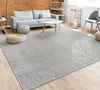 A living room scene with a gray rug, sofa, coffee table, and poufs. Anteprima dell’immagine prodotto