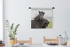 MuchoWow® Wandteppich Wandbehang Pferde - Schwarz - Gras Produktbild-Vorschau 3