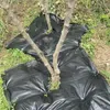 Unkrautvlies Gartenvlies Bodengewebe 100g/m² Unkrautfolie Produktbild-Vorschau 4