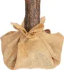 The base of a tree trunk wrapped in burlap and tied with a bow. Voir les images du produit