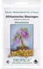 Tropica Bonsai: Afrikanischer Blauregen Produktbild-Vorschau 1