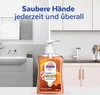 Sagrotan Hygieneseife Manuka Honig 3279910 250ml Produktbild-Vorschau 4